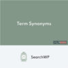 SearchWP Term Synonyms