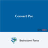 Convert Pro et Add-ons