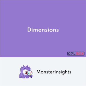 MonsterInsights Dimensions Addon