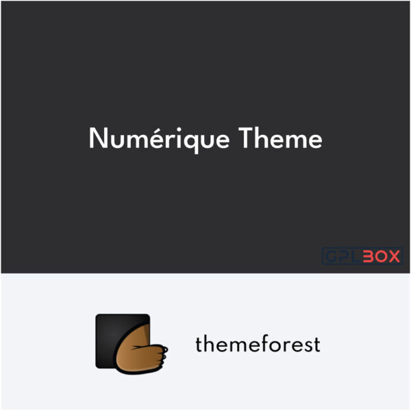 Numérique SEO Digital Marketing Theme