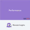 MonsterInsights Performance Addon